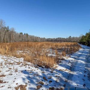 Photo #44 of 4048 OLD GRAIN RD, CORBIN, VA 843.0 acres