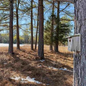 Photo #47 of 4048 OLD GRAIN RD, CORBIN, VA 843.0 acres