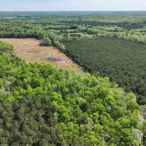 Photo #17 of 4048 OLD GRAIN RD, CORBIN, VA 843.0 acres