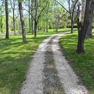 Photo #6 of 4048 OLD GRAIN RD, CORBIN, VA 843.0 acres