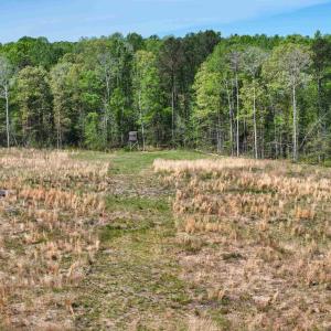 Photo #19 of 4048 OLD GRAIN RD, CORBIN, VA 843.0 acres