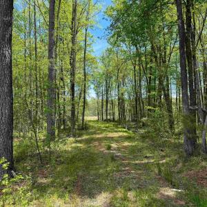 Photo #33 of 4048 OLD GRAIN RD, CORBIN, VA 843.0 acres