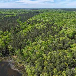 Photo #16 of 4048 OLD GRAIN RD, CORBIN, VA 843.0 acres