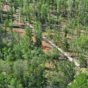 Photo #39 of 4048 OLD GRAIN RD, CORBIN, VA 843.0 acres