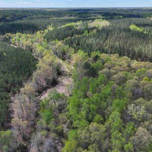 Photo #29 of 4048 OLD GRAIN RD, CORBIN, VA 843.0 acres