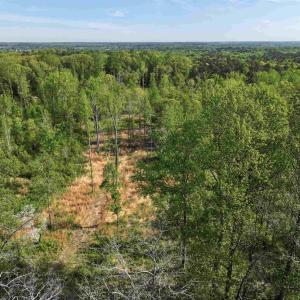 Photo #10 of 4048 OLD GRAIN RD, CORBIN, VA 843.0 acres