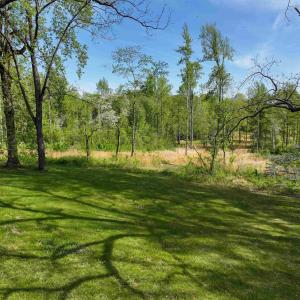 Photo #9 of 4048 OLD GRAIN RD, CORBIN, VA 843.0 acres