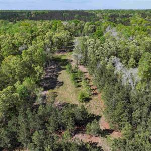 Photo #38 of 4048 OLD GRAIN RD, CORBIN, VA 843.0 acres