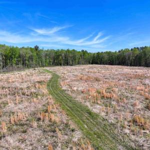 Photo #32 of 4048 OLD GRAIN RD, CORBIN, VA 843.0 acres