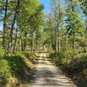 Photo #5 of 4048 OLD GRAIN RD, CORBIN, VA 843.0 acres