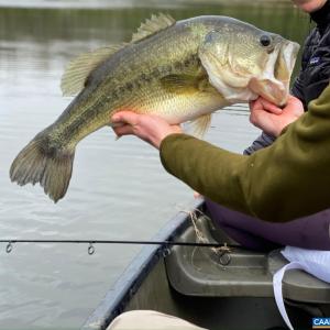 Photo #14 of 4048 OLD GRAIN RD, CORBIN, VA 843.0 acres