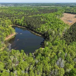 Photo #12 of 4048 OLD GRAIN RD, CORBIN, VA 843.0 acres