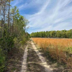 Photo #18 of 4048 OLD GRAIN RD, CORBIN, VA 843.0 acres