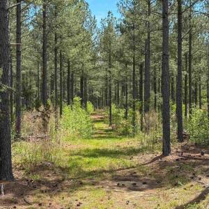 Photo #40 of 4048 OLD GRAIN RD, CORBIN, VA 843.0 acres