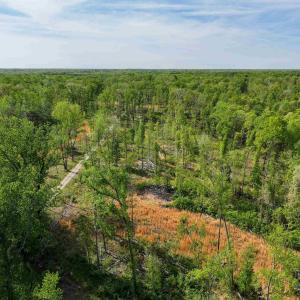 Photo #4 of 4048 OLD GRAIN RD, CORBIN, VA 843.0 acres