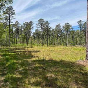 Photo #34 of 4048 OLD GRAIN RD, CORBIN, VA 843.0 acres