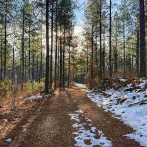 Photo #41 of 4048 OLD GRAIN RD, CORBIN, VA 843.0 acres