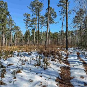 Photo #45 of 4048 OLD GRAIN RD, CORBIN, VA 843.0 acres