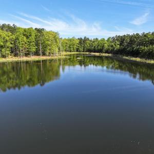 Photo #2 of 4048 OLD GRAIN RD, CORBIN, VA 843.0 acres