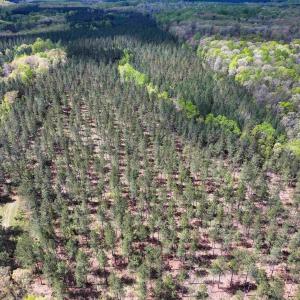 Photo #30 of 4048 OLD GRAIN RD, CORBIN, VA 843.0 acres