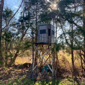 Photo #24 of 4048 OLD GRAIN RD, CORBIN, VA 843.0 acres