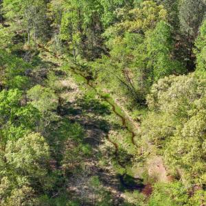 Photo #11 of 4048 OLD GRAIN RD, CORBIN, VA 843.0 acres