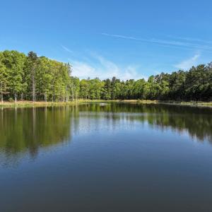 Photo #13 of 4048 OLD GRAIN RD, CORBIN, VA 843.0 acres