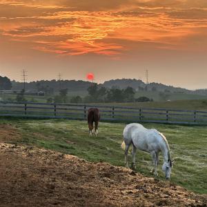 Photo #35 of 1065 MIDDLEBROOK RD, STAUNTON, VA 15.4 acres