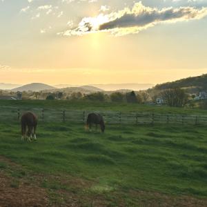 Photo #43 of 1065 MIDDLEBROOK RD, STAUNTON, VA 15.4 acres