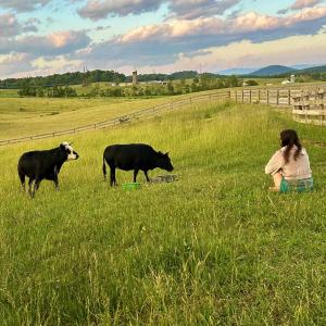 Photo #67 of 1065 MIDDLEBROOK RD, STAUNTON, VA 15.4 acres