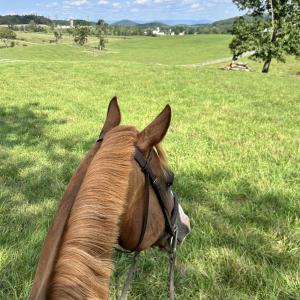 Photo #50 of 1065 MIDDLEBROOK RD, STAUNTON, VA 15.4 acres