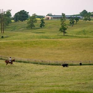 Photo #28 of 1065 MIDDLEBROOK RD, STAUNTON, VA 15.4 acres