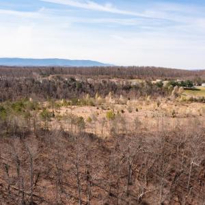 Photo #71 of TBD AUGUSTA WOODS DR, STAUNTON, VA 20.0 acres