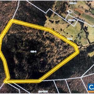 Photo #1 of OLD LYNCHBURG RD, NORTH GARDEN, VA 80.0 acres