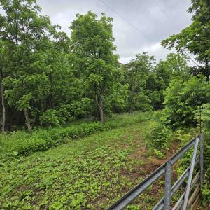Photo #2 of 900 SANDY BOTTOM RD, ELKTON, VA 2.0 acres