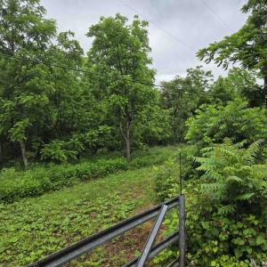 Photo #4 of 900 SANDY BOTTOM RD, ELKTON, VA 2.0 acres
