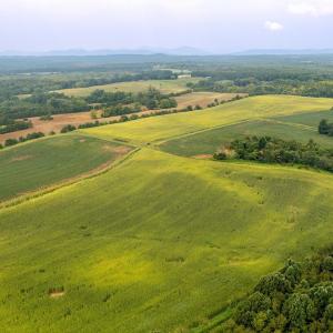Photo #3 of TBD GREENFIELD FARM, SCOTTSVILLE, VA 258.2 acres