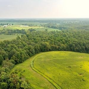 Photo #7 of TBD GREENFIELD FARM, SCOTTSVILLE, VA 258.2 acres