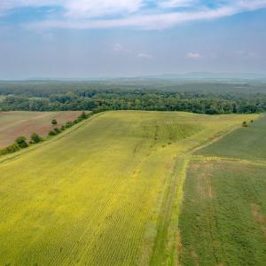 Photo #9 of TBD GREENFIELD FARM, SCOTTSVILLE, VA 258.2 acres