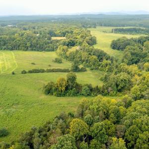 Photo #4 of TBD GREENFIELD FARM, SCOTTSVILLE, VA 258.2 acres