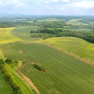 Photo #2 of TBD GREENFIELD FARM, SCOTTSVILLE, VA 258.2 acres
