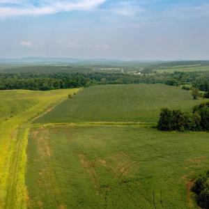 Photo #8 of TBD GREENFIELD FARM, SCOTTSVILLE, VA 258.2 acres