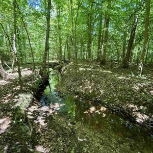 Photo #11 of WELSHMAN LN, MINERAL, VA 13.5 acres