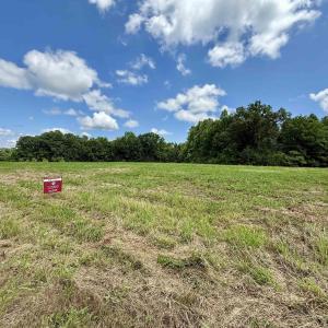 Photo #17 of WELSHMAN LN, MINERAL, VA 13.5 acres