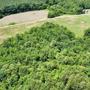 Photo #7 of WELSHMAN LN, MINERAL, VA 13.5 acres
