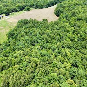 Photo #8 of WELSHMAN LN, MINERAL, VA 13.5 acres