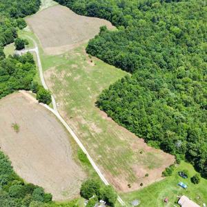 Photo #9 of WELSHMAN LN, MINERAL, VA 13.5 acres