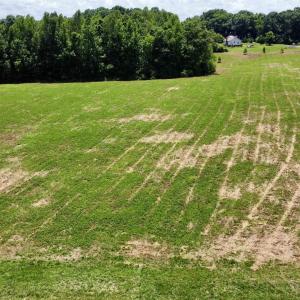 Photo #3 of WELSHMAN LN, MINERAL, VA 13.5 acres