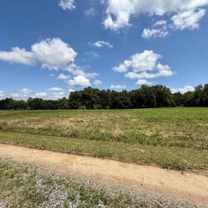 Photo #16 of WELSHMAN LN, MINERAL, VA 13.5 acres