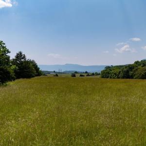 Photo #40 of SUNNYVIEW DR, RILEYVILLE, VA 40.6 acres